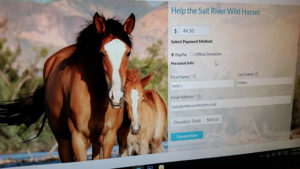 Donation to Salt River Wild Horses