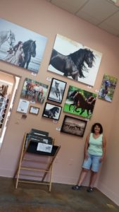 Sedona Gallery-Horse photos Jody L. Miller