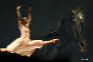 Horse Photos and Ballet-Jody L. Miller Equine Photographer