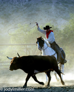 cowboy photos-jody l miller horse photographer