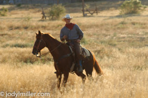 cowboy photos-Jody L. Miller Horse Photography