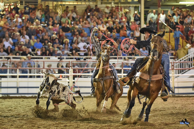 The World's Oldest Rodeo in Prescott, AZ Jody L Miller Horse Photography