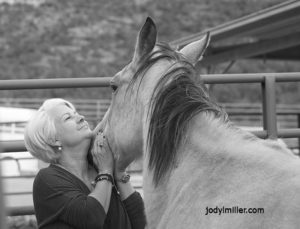 Sedona Horses-Photographer Jody Miller