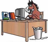 computers for horse photographers