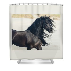 Horse Bathroom Shower Curtain-Equine Photographs by Jody L. Miller