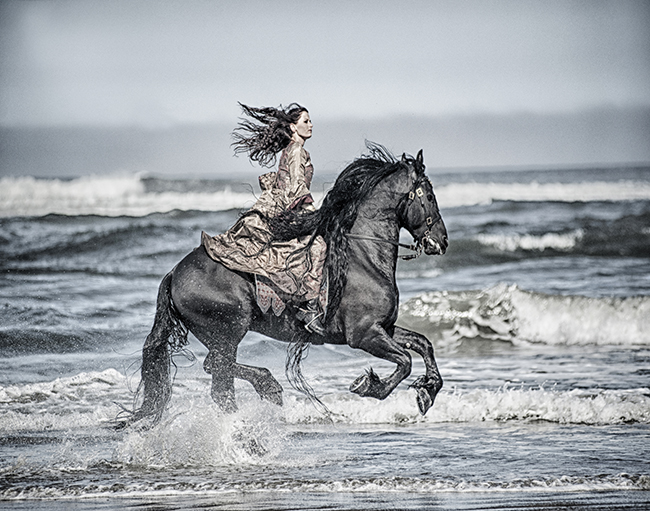 horse greeting cards-photographer Jody Miller