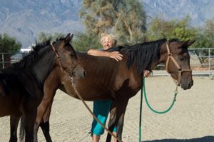 humans use horses for therapy-Equine Photographer Jody L. Miller