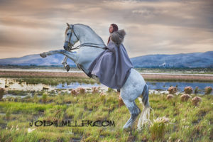 Humans use horses for therapy- Equine Photographer Jody L. Miller