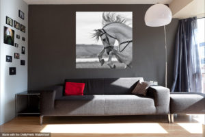 horse art- equine fine art photographer jody l. miller