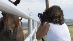 artist make a living- Horse photographer, Jody L. Miller
