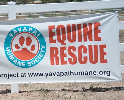 Yavapai Humane Society Equine Rescue-Equine Photographer Jody Miller