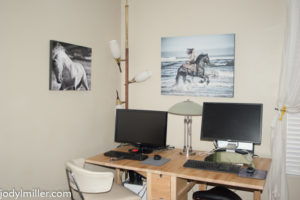 living in art gallery-horse photographer jody miller