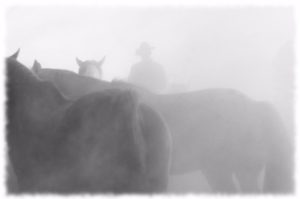cowboy photo- jody miller horse photographer
