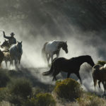 Pandora music photo editing-Horse photographer Jody L. Miller