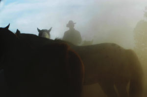 cowboy photos- horse photographer jody miller