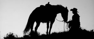 silhouette of cowgirl with her horse black and white