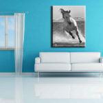 decorating with horse art- Jody L. Miller Photography