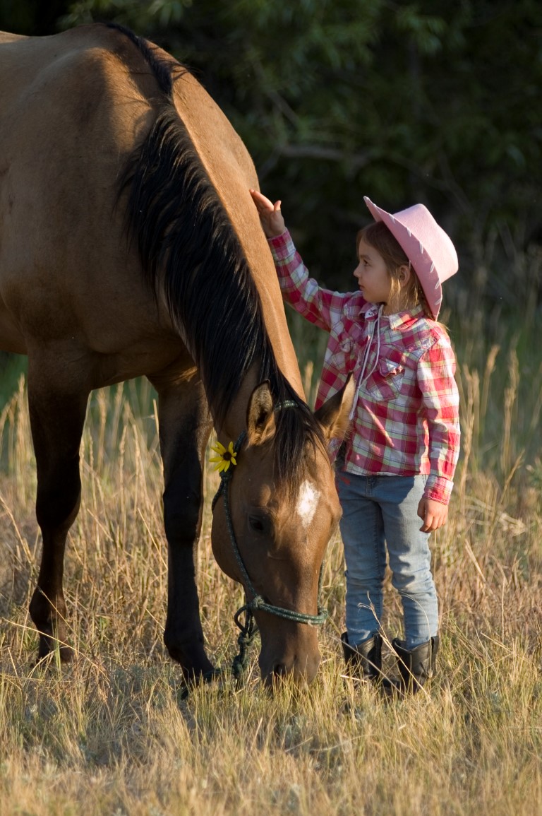 young girl petting horse- Jody L. Miller Equine Photography