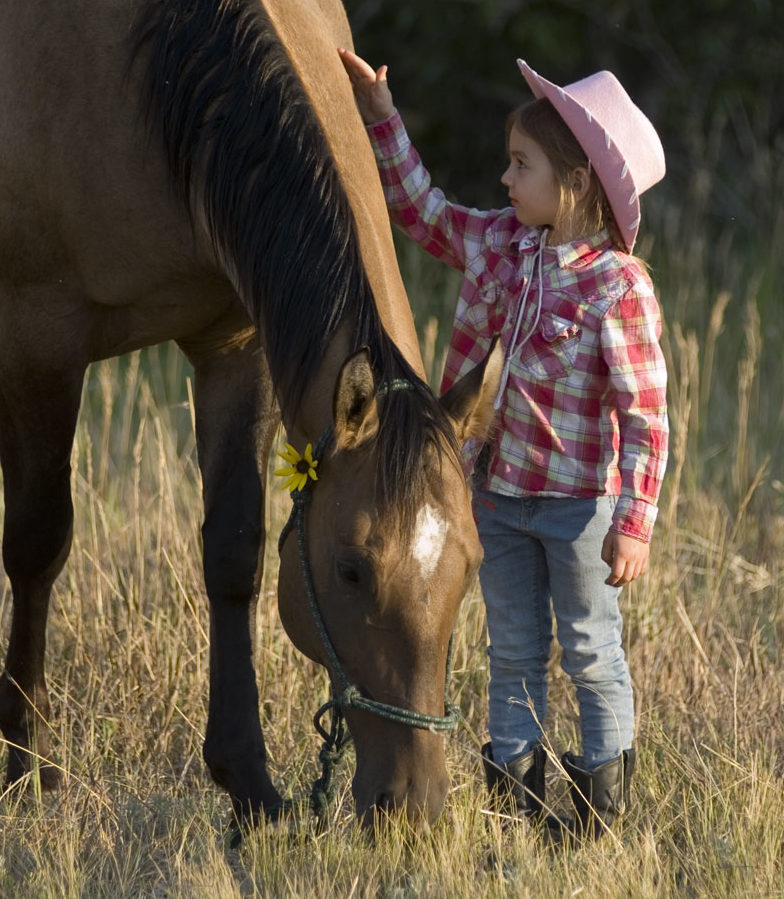 guest blog Anna Blake- Jody L. Miller Horse Photographer