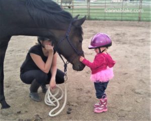 Guest blog Anna Blake-Jody L. Miller Horse Photographer