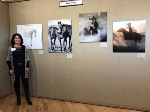Horse Photographer, Jody L. Miller