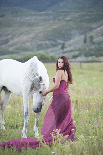 Horses as Pets- Jody L. Miller Horse Photographer