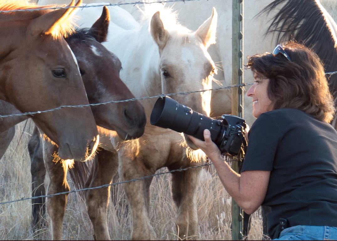 famous horse photographer- Jody L. Miller