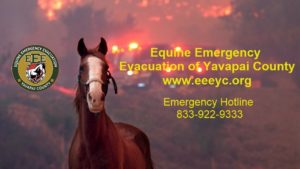 Equine Emergency Evacuation - Jody L. Miller Horse Photographer