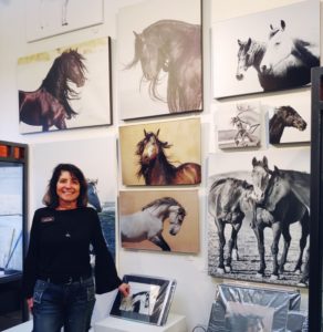 art mediums- Jody L. Miller Horse Photographer