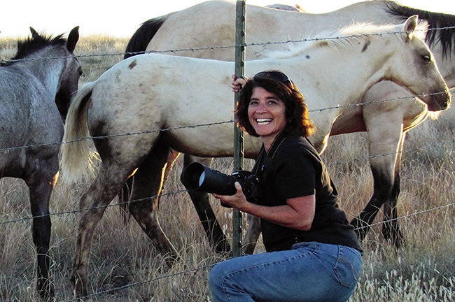 Why You Should Hire A Horse Photographer- Jody L. Miller