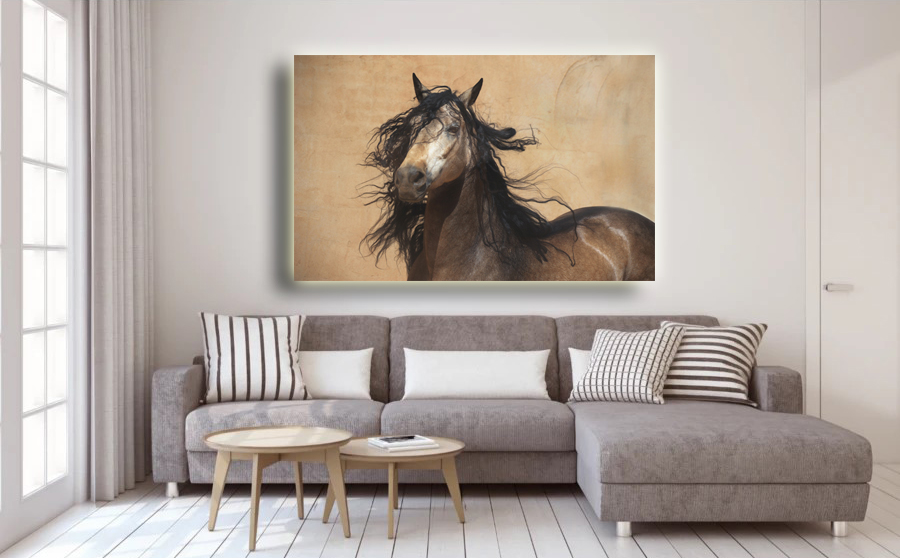 Decorating with Horse Art- Jody L. Miller