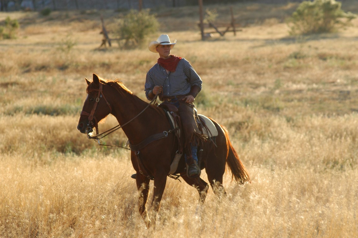 Cowboy Photography-Jody L. Miller
