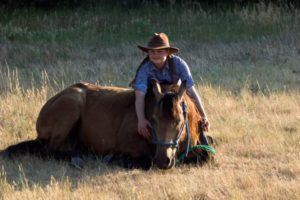 Emotional Healing with Horse Home Decor- Jody L. Miller