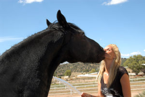 horses make you happy- Jody L Miller Photography