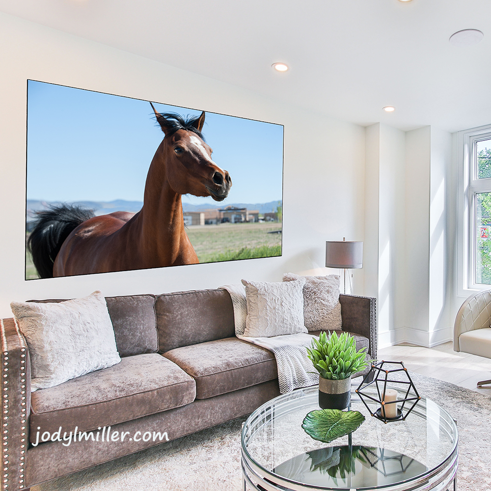 Lasrge Horse Art over couch- Jody L. Miller 