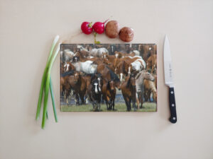 Horse Photo on Cutting Baord