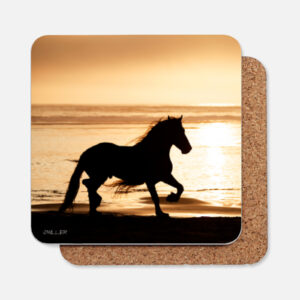 Horse photos on Coasters