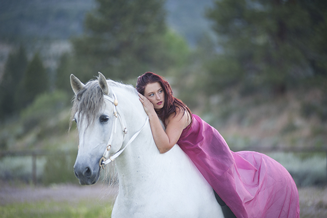 End of Life Horse Photography Session