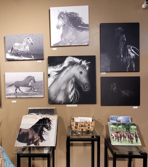 Black and White Horse Art Collection at Van Gogh's Ear Gallery
